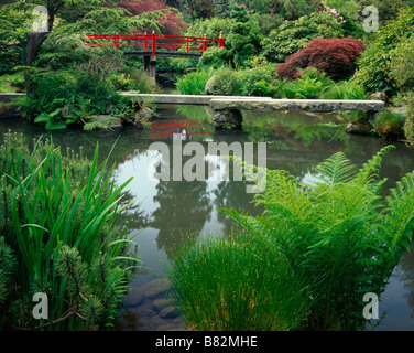 Jardin Kubota Seattle WA Coeur pont sur un étang sur Mapes Creek de fougères et de carex Banque D'Images