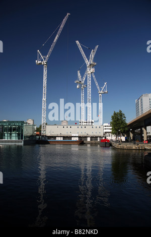 Les grues de construction près de Millwall Dock intérieur Isle of Dogs London Banque D'Images