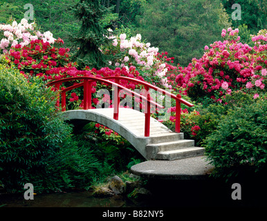 Seattle, WA : Jardins Kubota - Pont de Lune entouré de rhododendrons en fleurs plus voûté sur un étang Ruisseau Mapes Banque D'Images