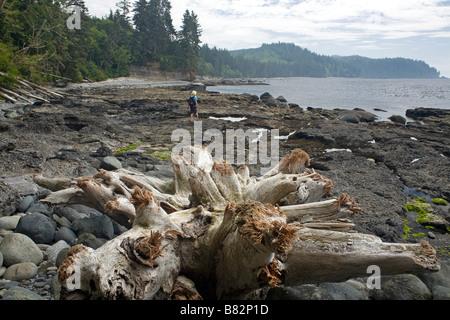 Colombie-britannique - Randonneur sur Sombrio Beach sur le Juan de Fuca Marine Trail au bord du détroit de Juan de Fuca . Banque D'Images