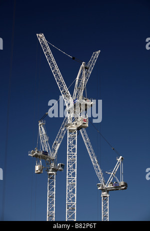 Les grues de construction près de Millwall Dock intérieur Isle of Dogs London Banque D'Images