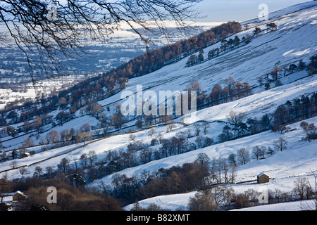 Bishopdale, Yorkshire Dales National Park, Royaume-Uni Banque D'Images