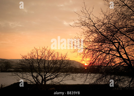 Lever de soleil sur l'hiver et le Devizes North Wessex Downs Banque D'Images