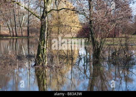 Un parc inondé en Allemagne. Banque D'Images