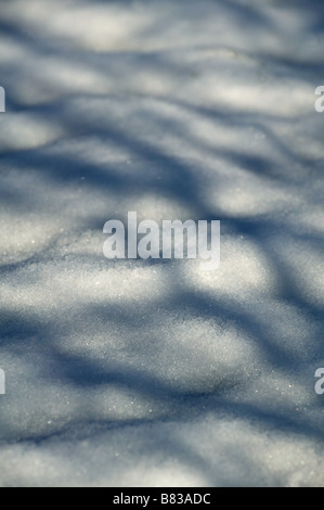 La neige au sol dans le format portrait avec ombres portées avec plus d'espace pour copier dans cette illustration de la mer d'hiver Banque D'Images