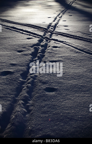 Trace dans la neige à la vues des Alpes dans le canton de Neuchâtel, Suisse. Banque D'Images