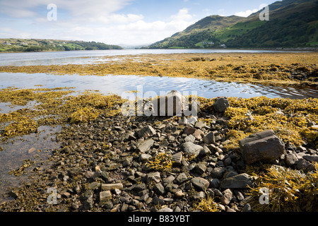 Gweebara Bay près de County Donegal Ardara, Banque D'Images