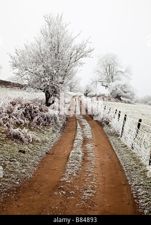 La voie de la ferme en hiver avec givre sur les arbres et la clôture de Galles UK Banque D'Images