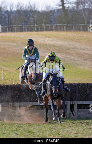 Pont à point les courses de chevaux Godstone Surrey Banque D'Images