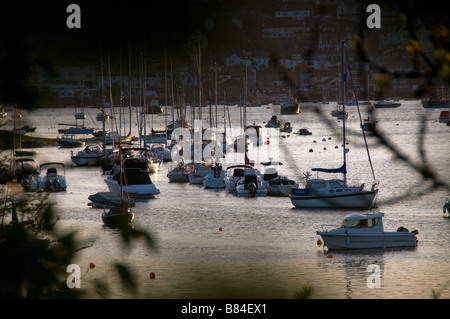 Mill Bay, Salcombe, Devon. Banque D'Images