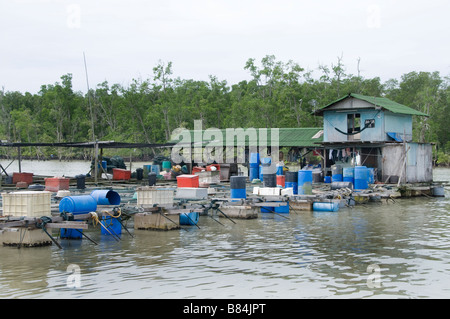 Kukup est un petit village de pêcheurs il est célèbre pour ses restaurants de fruits de mer en plein air construit sur pilotis sur l'eau. Banque D'Images