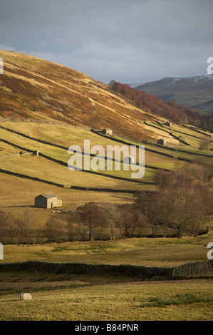 Murs de pierres sèches et de granges en pierre à kisdon Hill près de muker et thwaite le long d'une journée d'hiver de l'norh Yorkshire Dales Banque D'Images