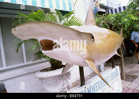 Requin-marteau farcies Banque D'Images