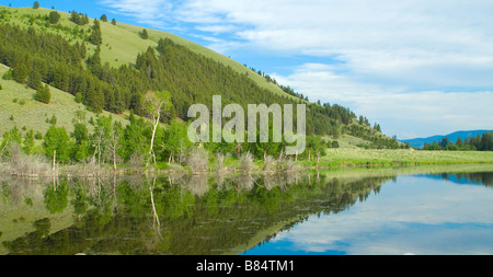 Colline verte et les arbres jetaient un reflet dans l'eau parfaitement immobile d'un petit lac Banque D'Images