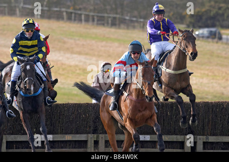 Pont à point les courses de chevaux Godstone Surrey Banque D'Images