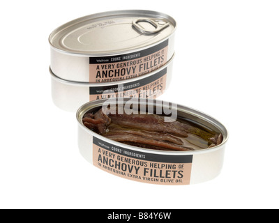 De l'étain ou de l'anchois salé peut préserver les filets de poisson isolé sur un fond blanc avec aucun peuple et un chemin de détourage Banque D'Images