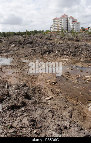Swamp les terres défrichées pour le développement domiciliaire de Kuala Terengganu, Malaisie. Banque D'Images