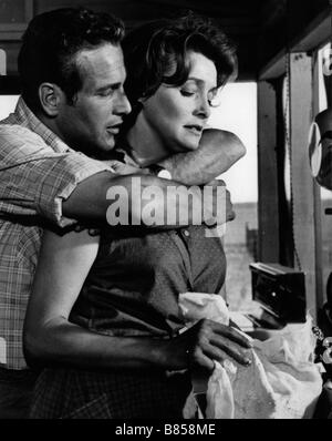 Année : 1963 Hud - USA Paul Newman, Patricia Neal Réalisateur : Martin Ritt Banque D'Images