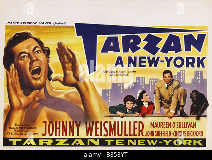 Tarzan's New York Adventure Année : 1942 USA Réalisation : Richard Thorpe Movie poster Banque D'Images