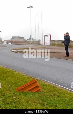 24 janvier 2009 à Biarritz tempête Klaus drived tuile dans l'herbe Banque D'Images