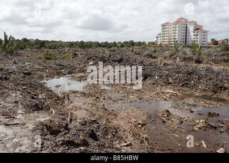 Swamp les terres défrichées pour le développement domiciliaire de Kuala Terengganu, Malaisie. Banque D'Images
