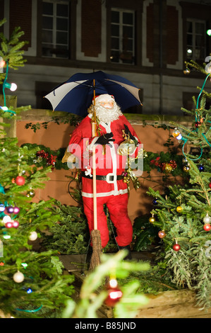 Décoration de Noël dans la nuit, La Petite France, Strasbourg, Alsace, France Banque D'Images