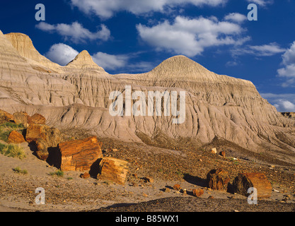 Petrified Forest National Park Arizona, États-Unis Banque D'Images