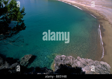 Italie, Campanie, Parc National du Cilento, lenticelle Banque D'Images