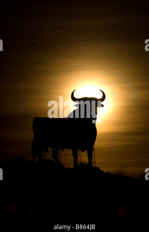 L'un des célèbres taureaux Osbourne en silhouette contre la hausse pleine lune Banque D'Images