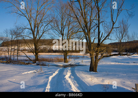 Snunshine sur un terrain couvert de neige dans le Vermont USA Banque D'Images