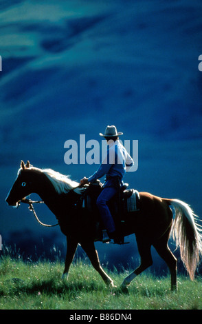 Le cheval Whisperer Année : 1998 USA Réalisation : Robert Redford Robert Redford Banque D'Images