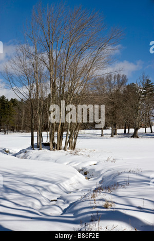 La fin de l'après-midi dans le Vermont avec le soleil casting shadows sur un terrain couvert de neige fraîchement Banque D'Images