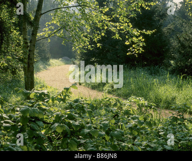 Jardin Albert Kahn À Boulogne-Billancourt Banque D'Images