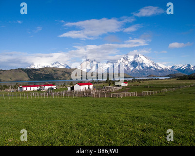 Dans un pré de la ferme par un lac et les montagnes dans le Parc National Torres del Paine, Patagonie, Chili Amérique du Sud Banque D'Images