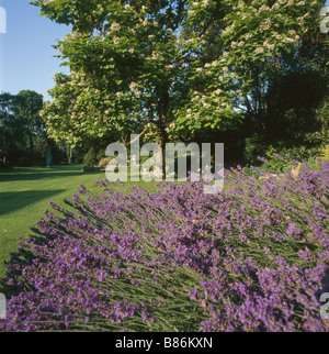 Les jardins de l'ambassade britannique à Paris Banque D'Images