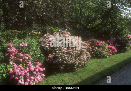 Arboretum de l'ecole du Breuil à Paris Banque D'Images