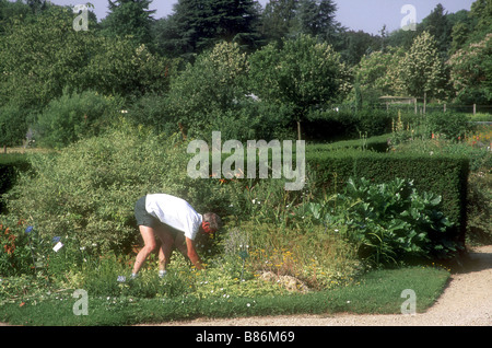 Arboretum de l'ecole du Breuil à Paris Banque D'Images