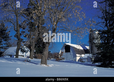 Ferme laitière du Minnesota en hiver Banque D'Images