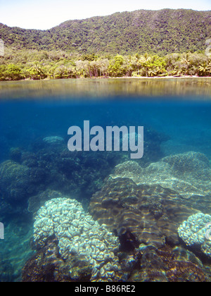 Les récifs coralliens frangeants bordant les plages de la forêt tropicale du Parc national de Daintree Australie Queensland du nord Banque D'Images