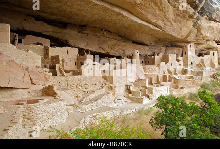 Cliff Palace ancestral Puebloan ruine Mesa Verde National Park Colorado USA Banque D'Images