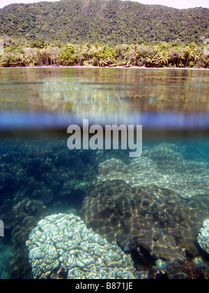 Les récifs coralliens frangeants bordant les plages de la forêt tropicale du Parc national de Daintree Australie Queensland du nord Banque D'Images