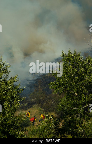 Les pompiers à l'approche d'un feu sauvage fumeurs fortement sur une montagne Banque D'Images