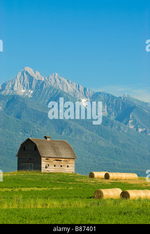 Ancien hangar au milieu d'un champ entouré d'herbe et de paille avec des montagnes en arrière-plan Banque D'Images