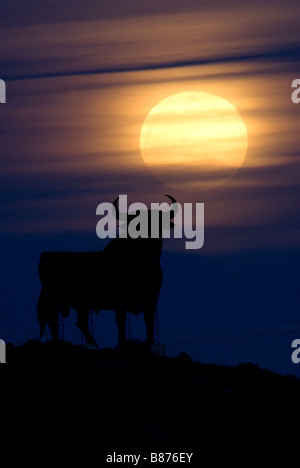 L'un des célèbres taureaux Osbourne en silhouette avec la hausse pleine lune derrière Banque D'Images