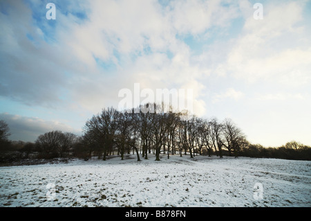 Neige sur Hampstead Heath à Londres Angleterre Royaume-Uni Neige Neige hiver Banque D'Images