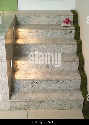 Détail de fleurs avec escalier Banque D'Images