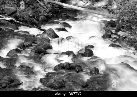 Eau plus de rock en monochrome noir et blanc de la rivière Northwest classic Banque D'Images