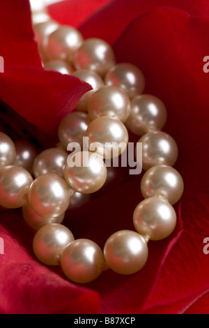 Gros plan de rose rouge avec des perles d'arrière-plan Banque D'Images