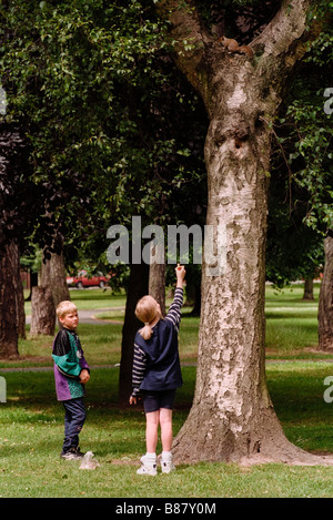 Les enfants d'essayer de nourrir un écureuil gris à Victoria Park Cardiff South Wales UK Banque D'Images