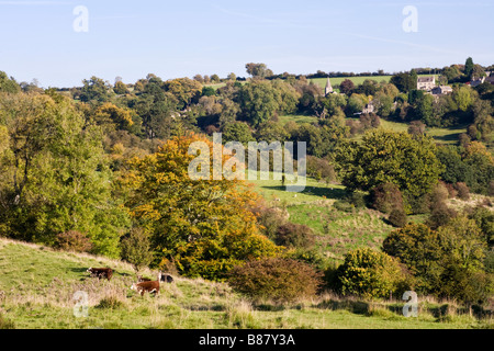 Le village de Cotswold Sapperton, Gloucestershire - vue de l'ensemble de la partie supérieure de la vallée à Daneway Frome Banque D'Images